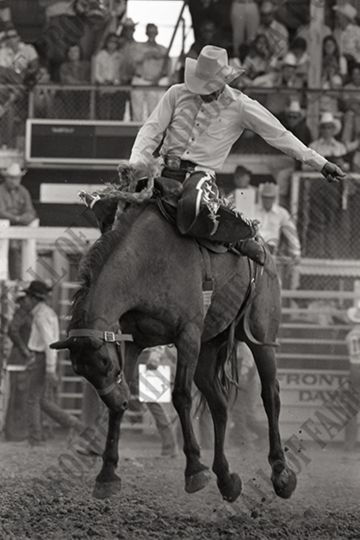 Saddle Bronc Riding