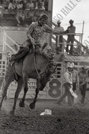 Saddle Bronc Riding