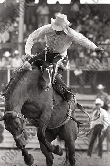 Saddle Bronc Riding