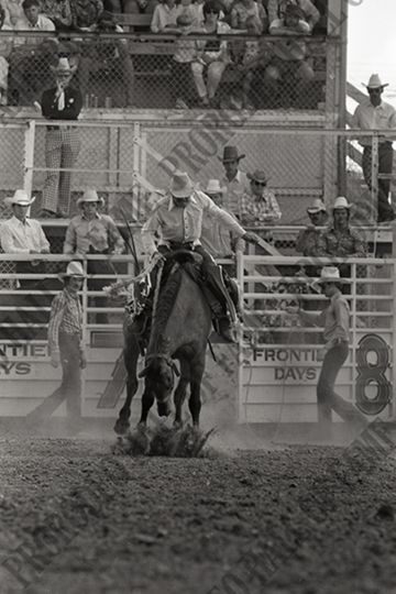 Saddle Bronc Riding