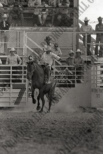 Saddle Bronc Riding