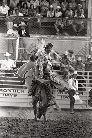 Saddle Bronc Riding
