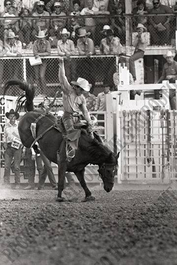 Saddle Bronc Riding