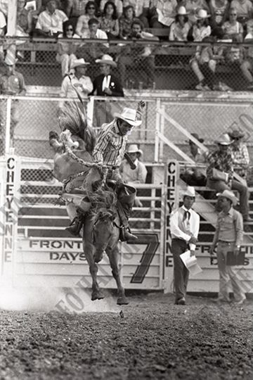 Saddle Bronc Riding