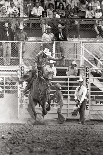 Saddle Bronc Riding