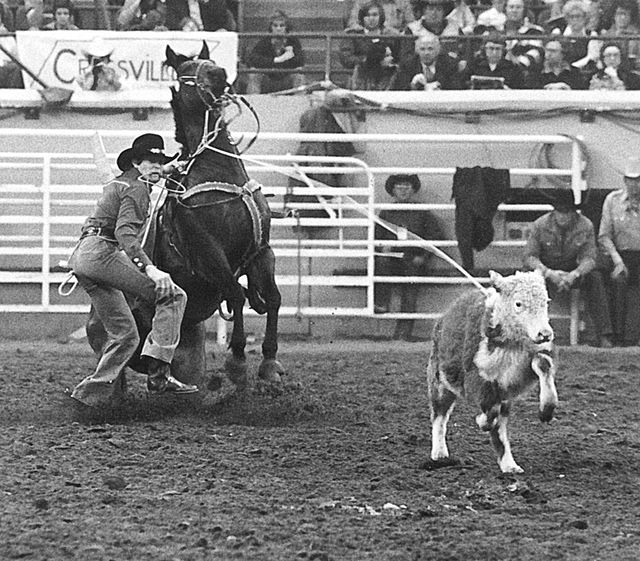 <div>Cooper, Roy</div>