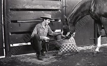 Purina Horse