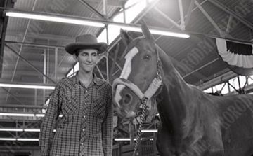 Horse Show