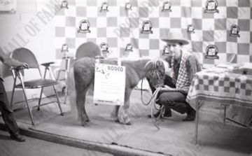 Horse Show