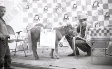 Horse Show