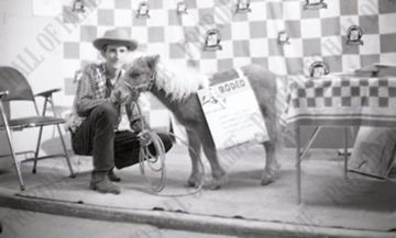 Horse Show