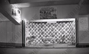 Purina Stage