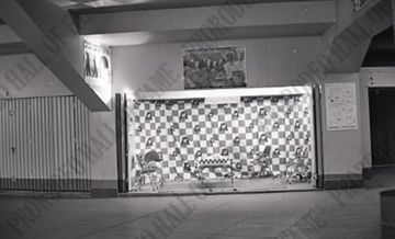 Purina Stage