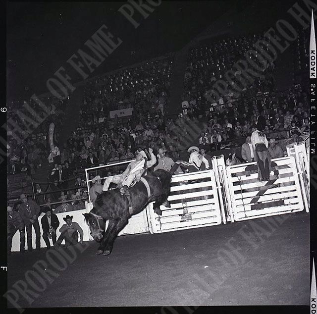 Harry Tompkins on #196 Duchess (Beutler Brothers)