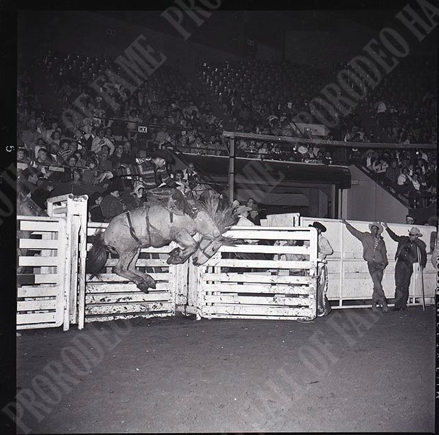 Chuck Swanson on #104 Stormy (Beutler Brothers)