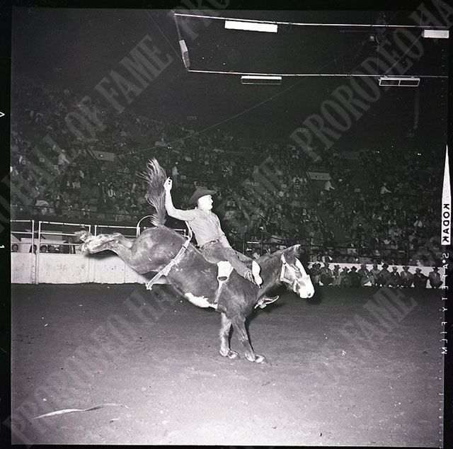 Joey Malsam on #126M Paleface (Beutler Brothers)