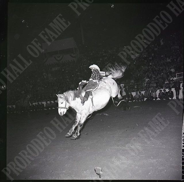 Jerry Coble on #218F Steel Dust (Beutler Brothers)