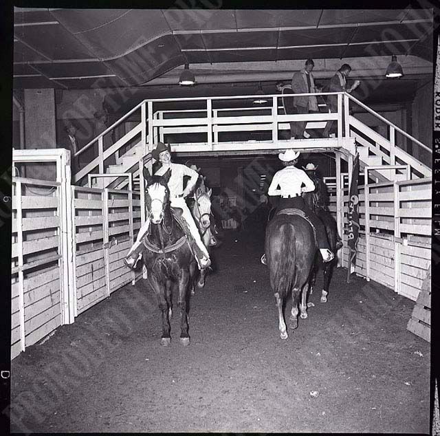 Norita Henderson Barrel Racing