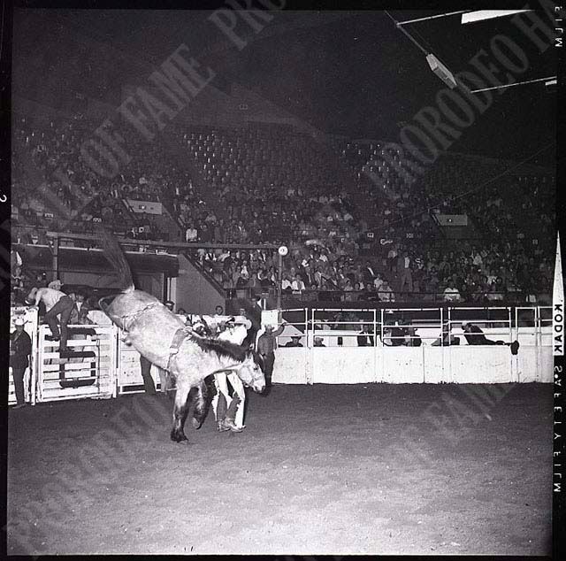 Jerry Willuweit off #32V Frisky King (Beutler Brothers)