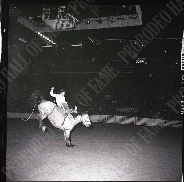 Jim Ivory on #300V Yellow Wolf (Beutler Brothers)