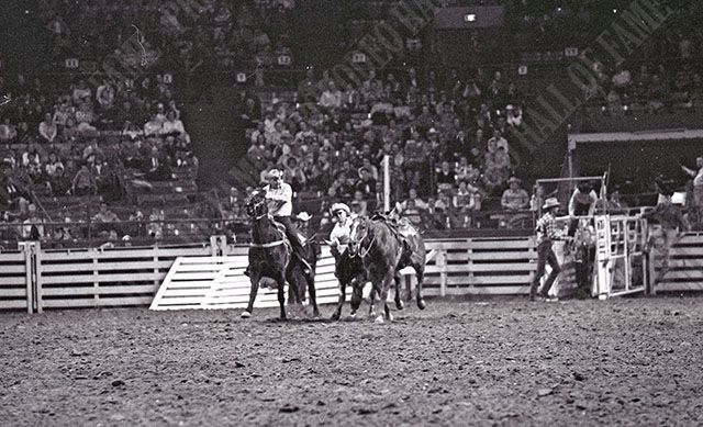 Don Hammond Steer Wrestling