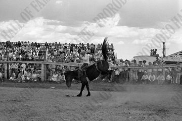 Floyd Smith Bareback Riding (Kesler)