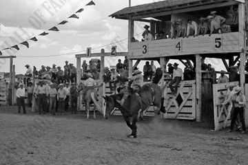 Jordan Morning Bull Bareback Riding (Kesler)