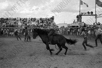 Jim Jorgenson Wild Horse Racing