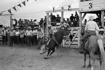 Jordan Bruchead Steer Riding
