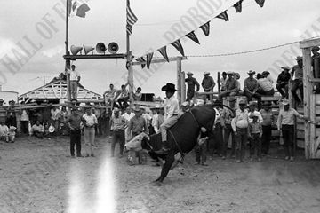 Clement Fox Steer Riding