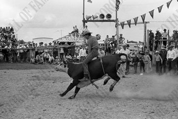 Jordan Many Fingers Steer Riding