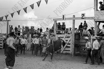 Jerry Patterson Steer Riding