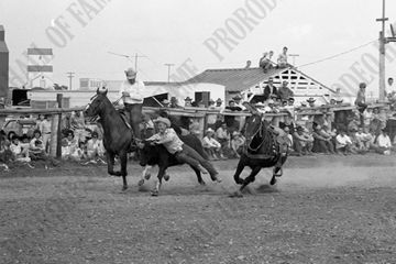 Ken Smith Steer Wrestling