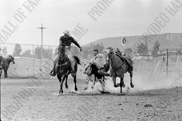 Dave Hart Steer Wrestling