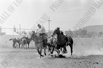 Bob Grego Steer Wrestling