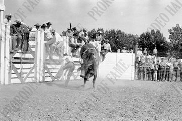 Gary Leffew off #38