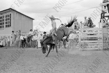 Tiny Canfield #110 Bobby Demmir (Vold)