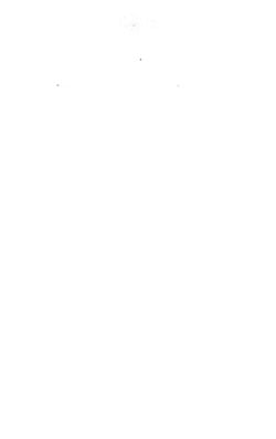 1906_Vol_10 page 96.jpg