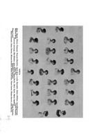 1910-1911_Vol_14 page 436.jpg