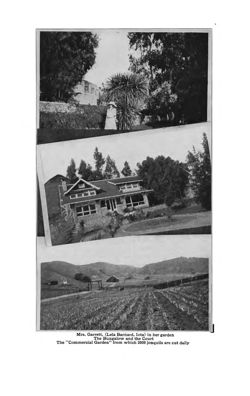 1912-1913_Vol_16 page 254.jpg