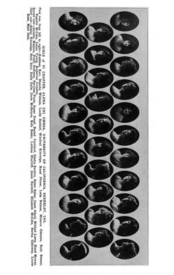 1913-1914_Vol_17 page 554.jpg