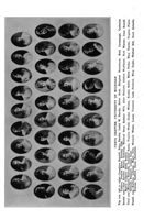 1916-1917_Vol_20 page 453.jpg