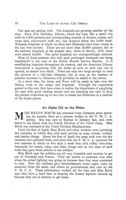 1919-1920_Vol_23 page 23.jpg