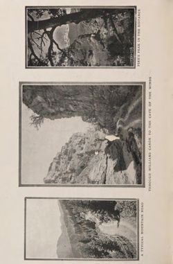 1921-1922_Vol_25 page 241.jpg