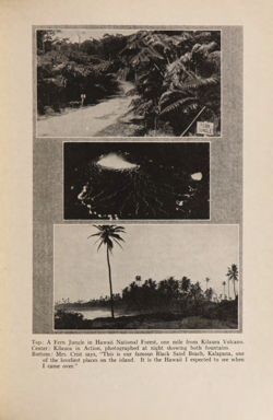 1929-1930_Vol_33 page 32.jpg