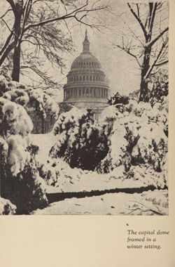 1934-1935_Vol_38 page 113.jpg