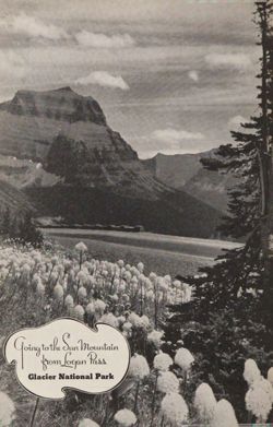 1936-1937_Vol_40 page 99.jpg