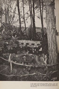 1938-1939_Vol_42 page 7.jpg