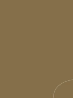 AlphaChiOmega_The1st25Years-1 page 148.jpg