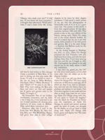 AlphaChiOmega_The1st25Years-1 page 57.jpg